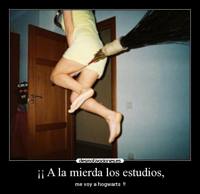 ¡¡ A la mierda los estudios, -