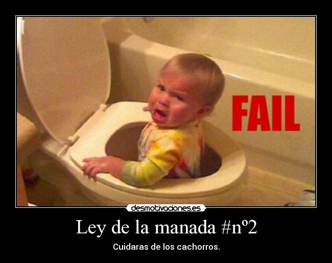 carteles voy tirar cadena ver que pasa desmotivaciones