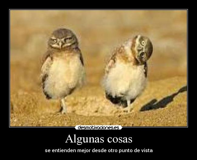 Algunas cosas - se entienden mejor desde otro punto de vista