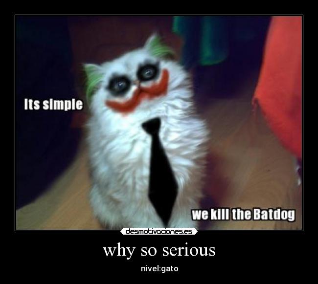 why so serious - nivel:gato