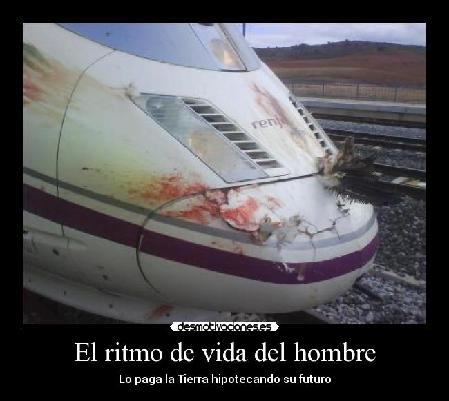 carteles vida tren ave ritmo vida del hombre desmotivaciones