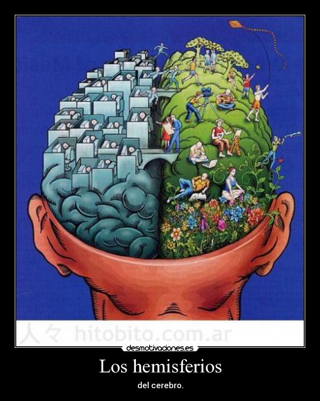 Los hemisferios -
