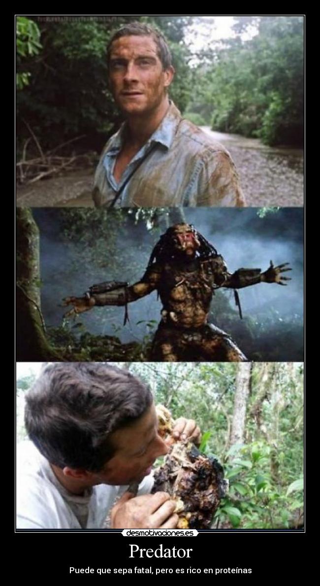 Predator - Puede que sepa fatal, pero es rico en proteínas