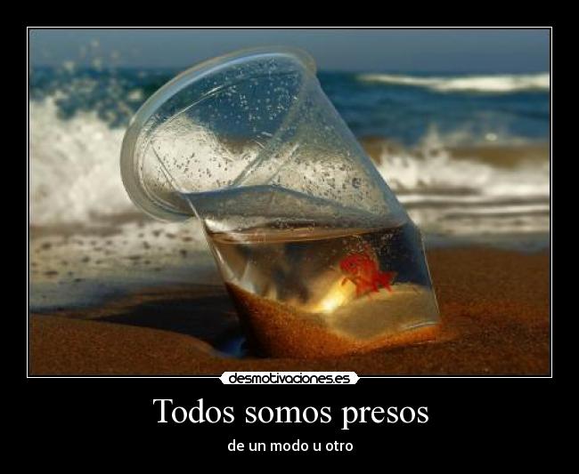 Todos somos presos - 