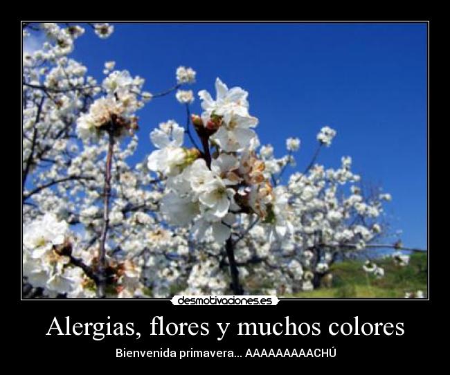 carteles primavera alergia colores desmotivaciones