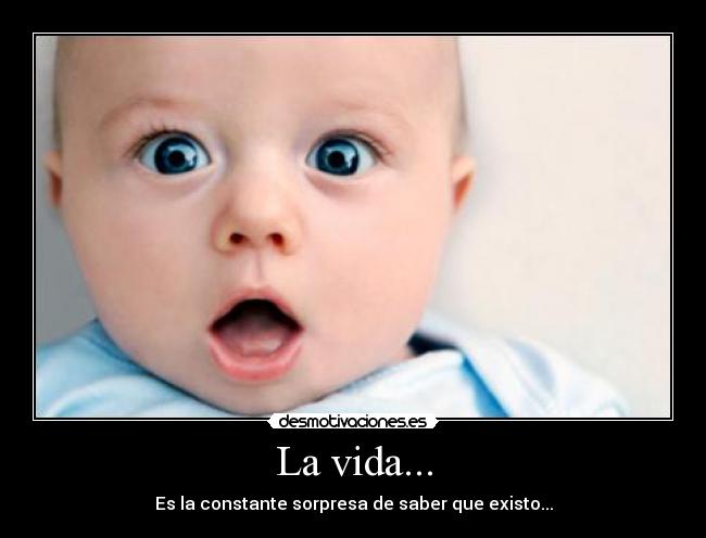 La vida... - Es la constante sorpresa de saber que existo...