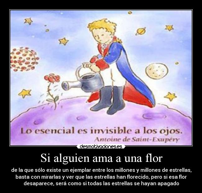 Si alguien ama a una flor - de la que sólo existe un ejemplar entre los millones y millones de estrellas,
basta con mirarlas y ver que las estrellas han florecido, pero si esa flor
desaparece, será como si todas las estrellas se hayan apagado