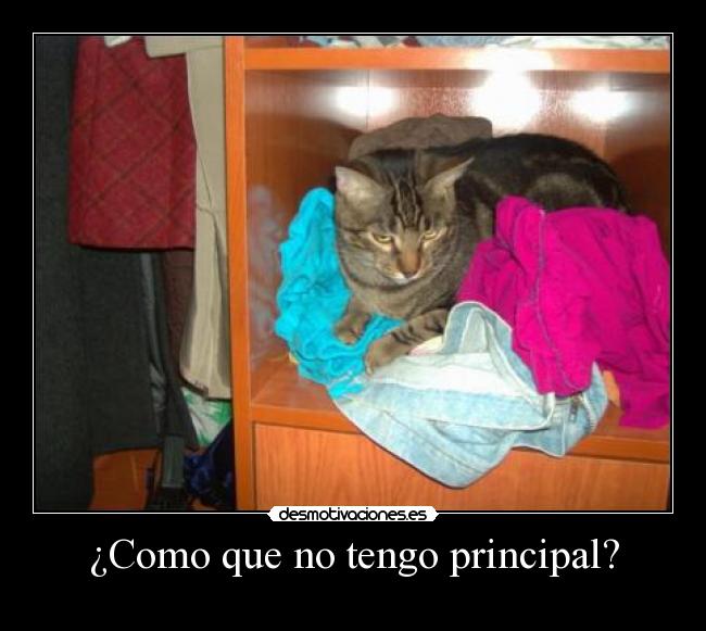 ¿Como que no tengo principal? - 