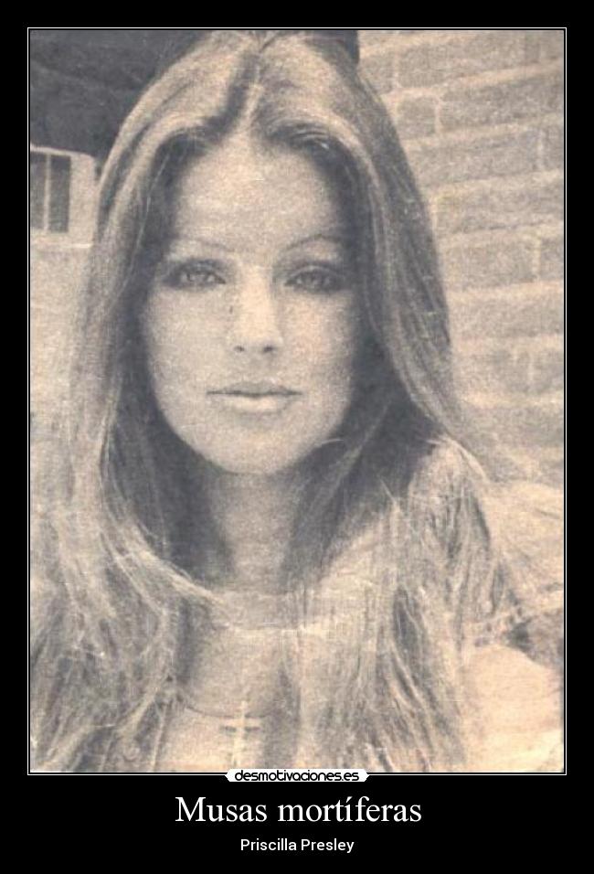 carteles elvis presley jajaja sin comentarios desmotivaciones