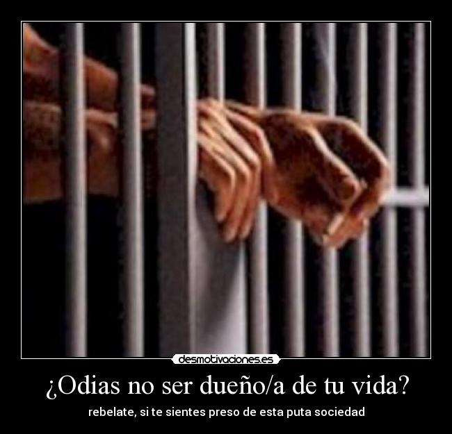 ¿Odias no ser dueño/a de tu vida? - rebelate, si te sientes preso de esta puta sociedad