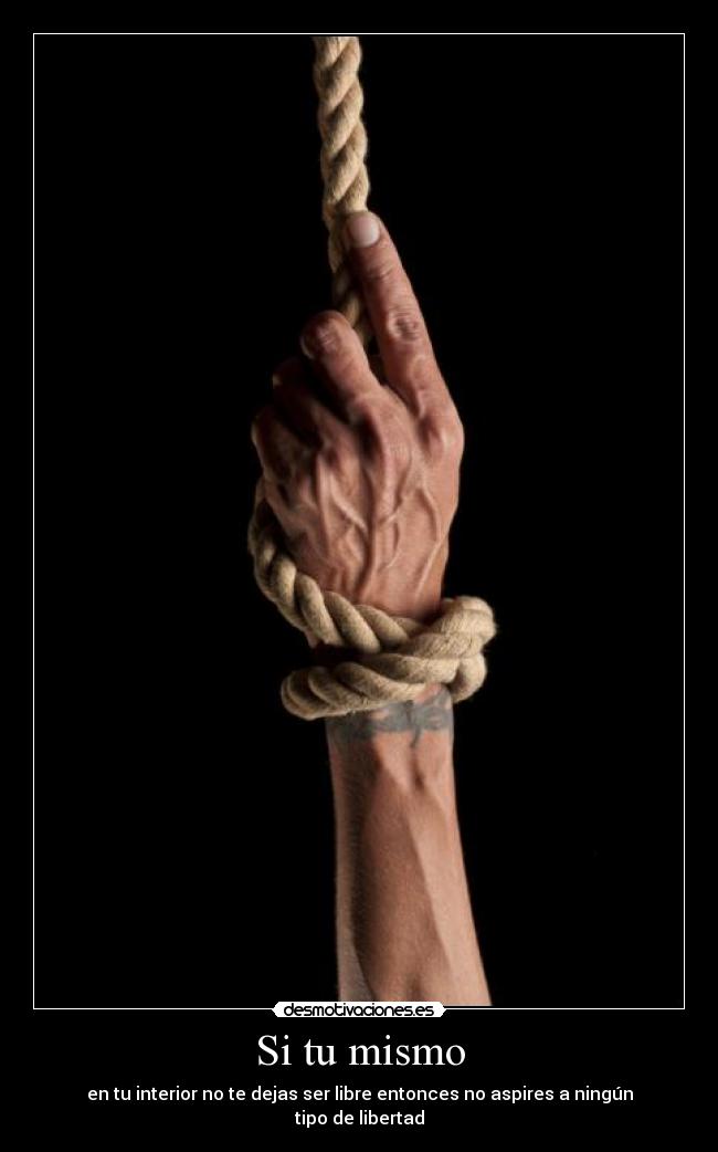 carteles bollicao desmotivaciones