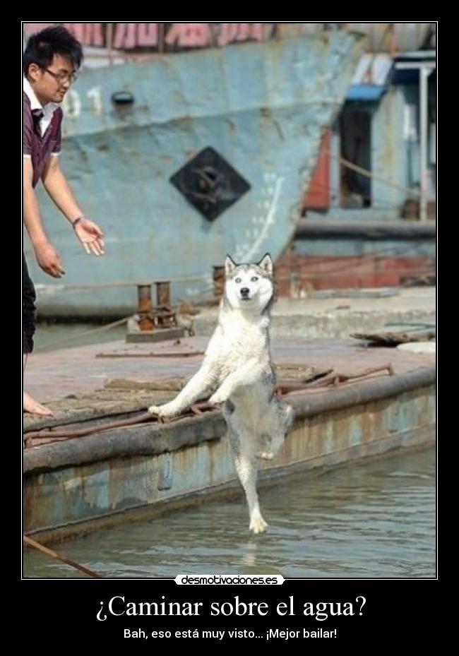 ¿Caminar sobre el agua? - Bah, eso está muy visto... ¡Mejor bailar!