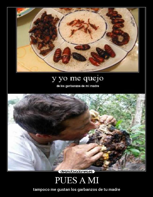 PUES A MI - tampoco me gustan los garbanzos de tu madre