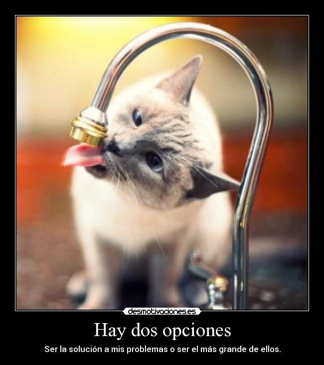 carteles una mas desmotivaciones