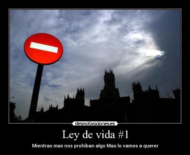 Ley de vida #1 - Mientras mas nos prohiban algo Mas lo vamos a querer