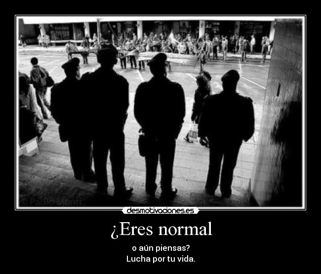 ¿Eres normal - 