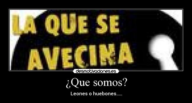 ¿Que somos? - 
