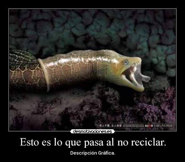 Esto es lo que pasa al no reciclar. -