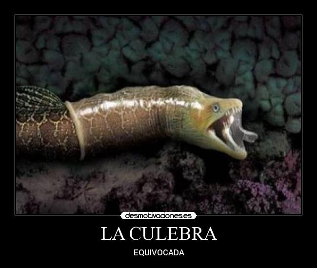 LA CULEBRA - EQUIVOCADA