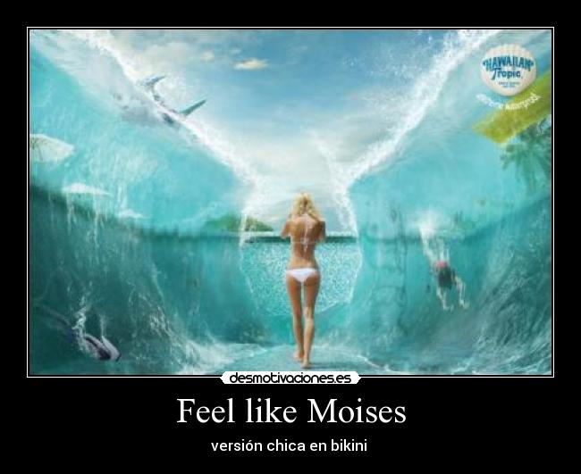 Feel like Moises - 