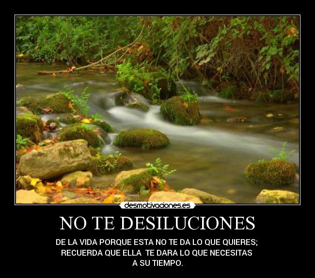 NO TE DESILUCIONES - DE LA VIDA PORQUE ESTA NO TE DA LO QUE QUIERES;
RECUERDA QUE ELLA TE DARA LO QUE NECESITAS
A SU TIEMPO.