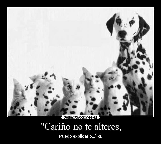 Cariño no te alteres, - 