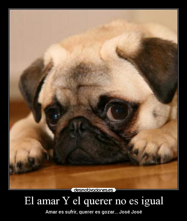 El amar Y el querer no es igual -