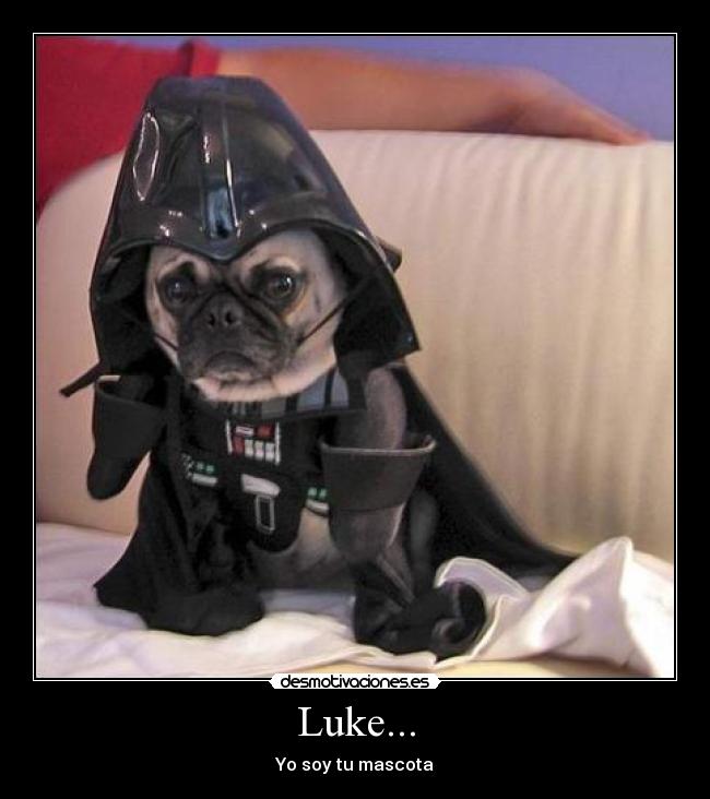 Luke... - Yo soy tu mascota