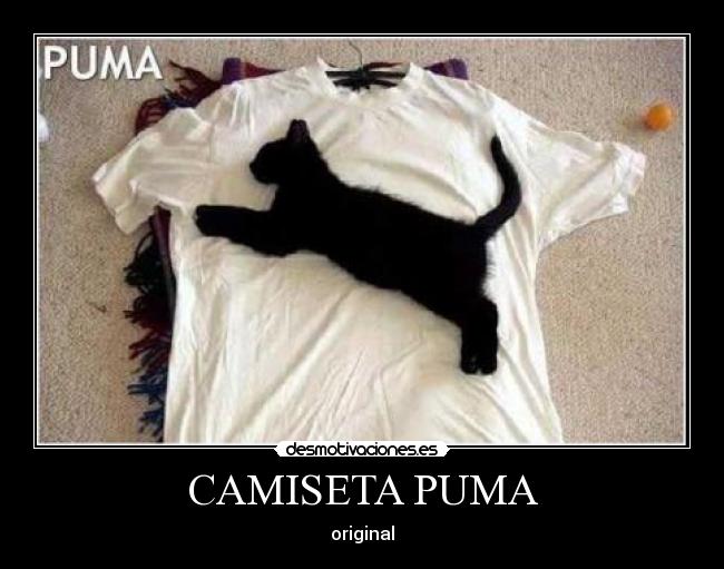 CAMISETA PUMA -