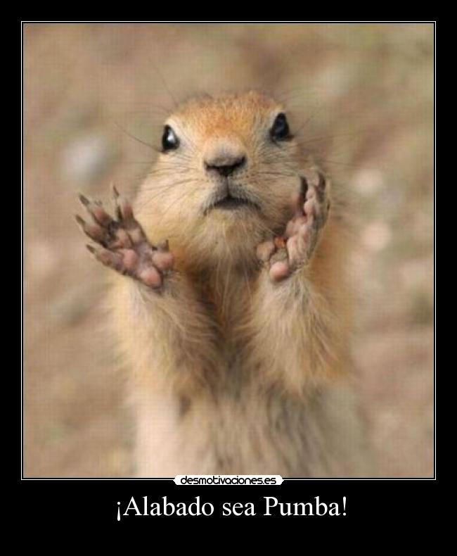 ¡Alabado sea Pumba! -  