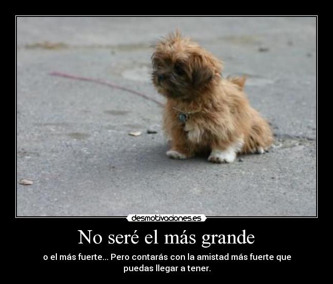 No seré el más grande - 