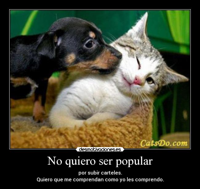 No quiero ser popular - por subir carteles.
Quiero que me comprendan como yo les comprendo.