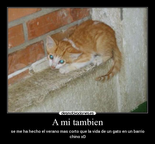 A mi tambien - 