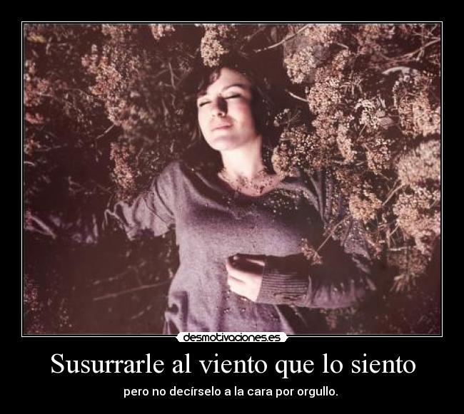 carteles viento desmotivaciones