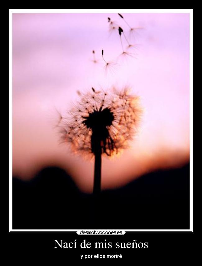 Nací de mis sueños -