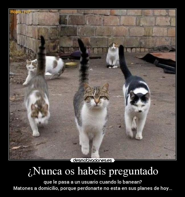 ¿Nunca os habeis preguntado - que le pasa a un usuario cuando lo banean?
Matones a domicilio, porque perdonarte no esta en sus planes de hoy...
