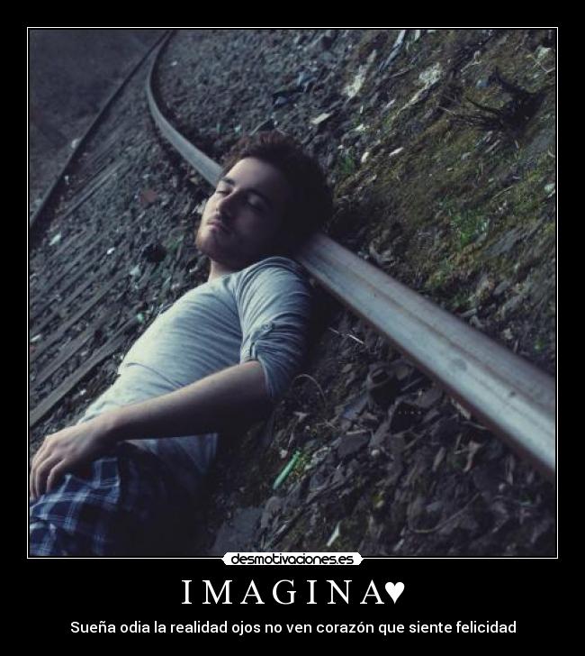 carteles imagina suena odia realidad ojos ven corazon que siente felicidad desmotivaciones