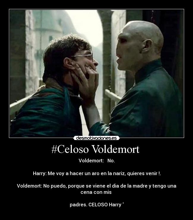 carteles celoso voldemort desmotivaciones