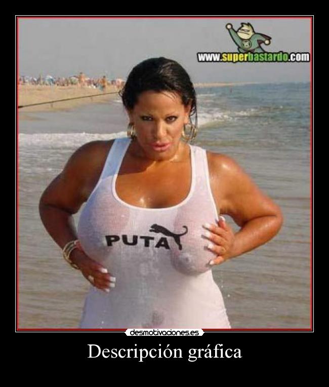 Descripción gráfica -