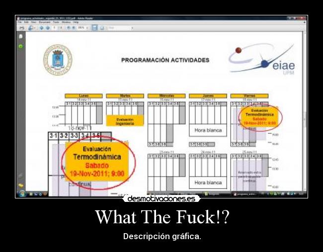 What The Fuck!? - Descripción gráfica.