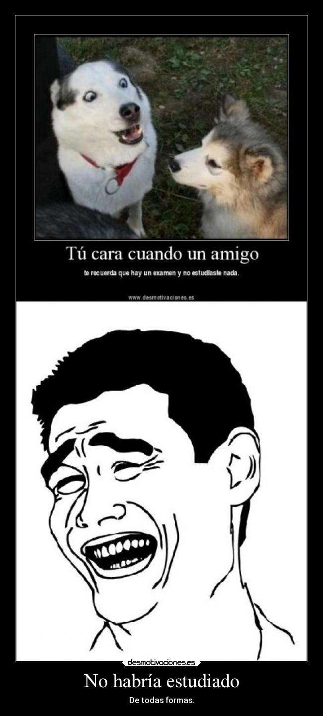 No habría estudiado - De todas formas.