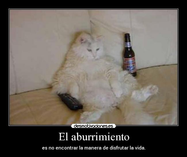 El aburrimiento - es no encontrar la manera de disfrutar la vida.