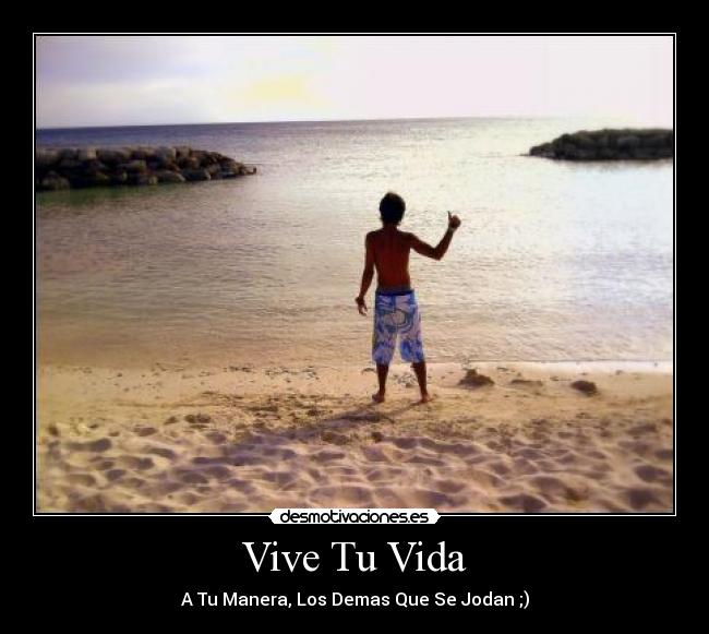 carteles vida ninguna desmotivaciones