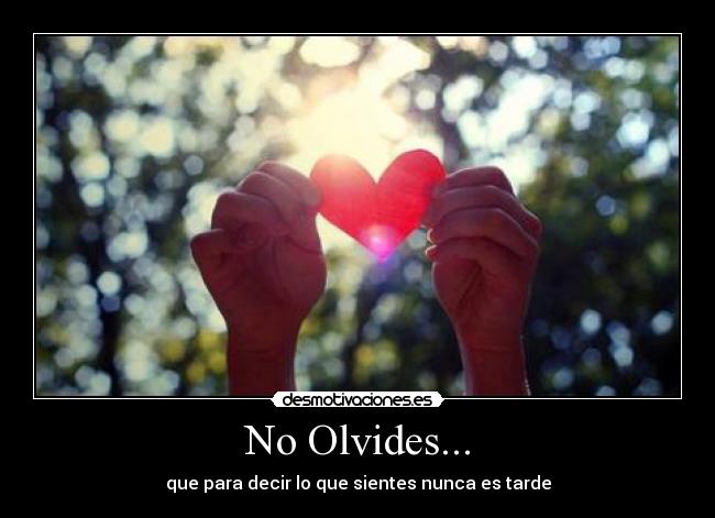 No Olvides... - 