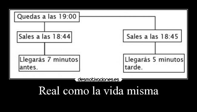 Real como la vida misma - 