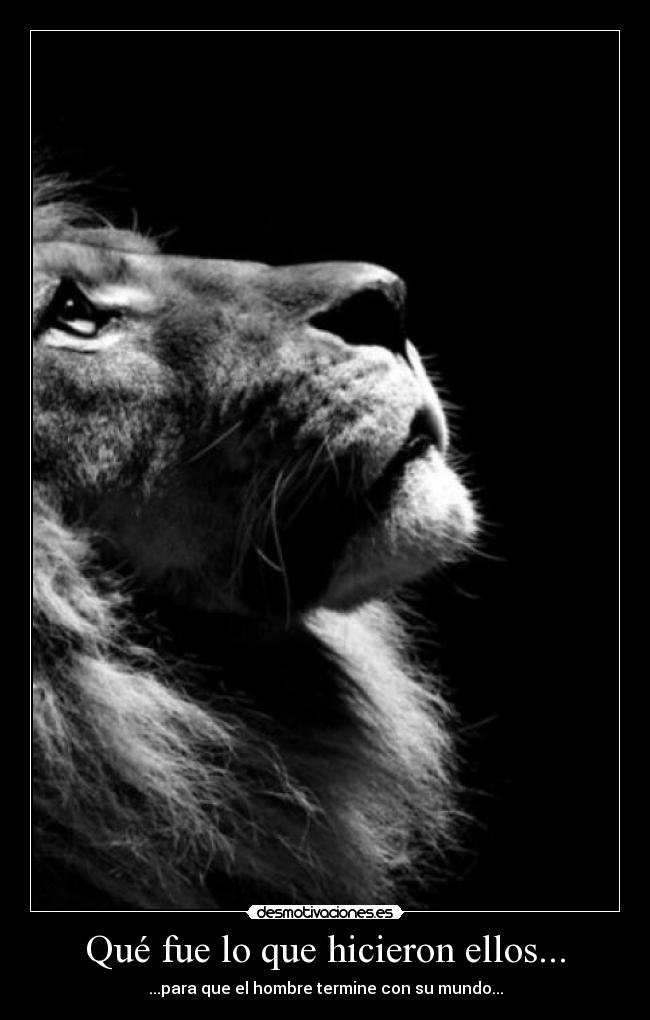 carteles dreadk clanvirus leon mundo hombre naturaleza paz amor reggae desmotivaciones