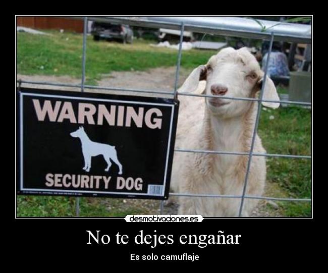 carteles desmotivaciones