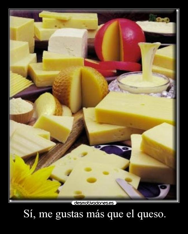 carteles sabes todo que gusta queso pero comeria nunca mas pudiese tenerte lado desmotivaciones