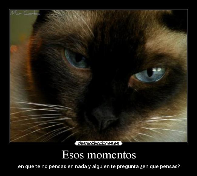 Esos momentos -