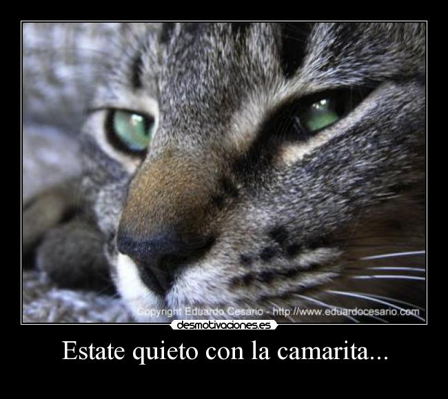 Estate quieto con la camarita... -